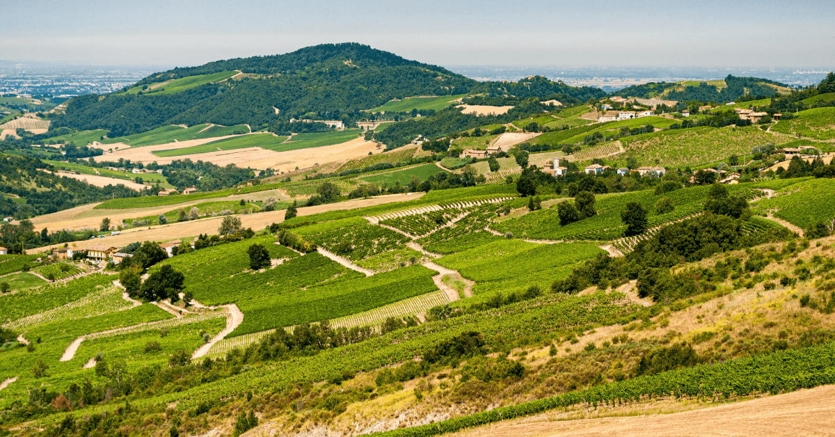 Cosa fare d'estate a Battuda 2026: Piscine, relax e natura