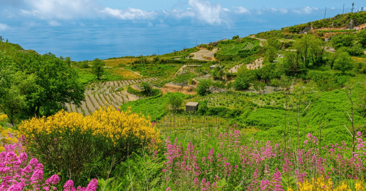 Boscotrecase estate 2026: Guida completa alle attività e relax