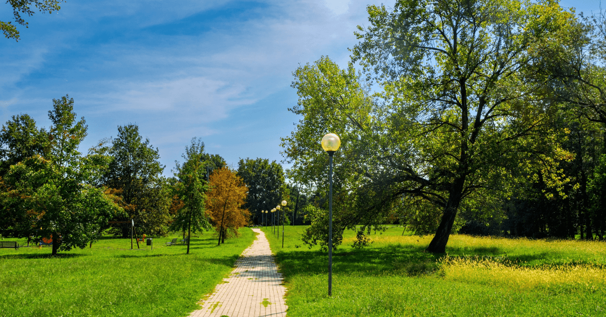Estate 2026 a Buccinasco: Guida alle attività e piscine