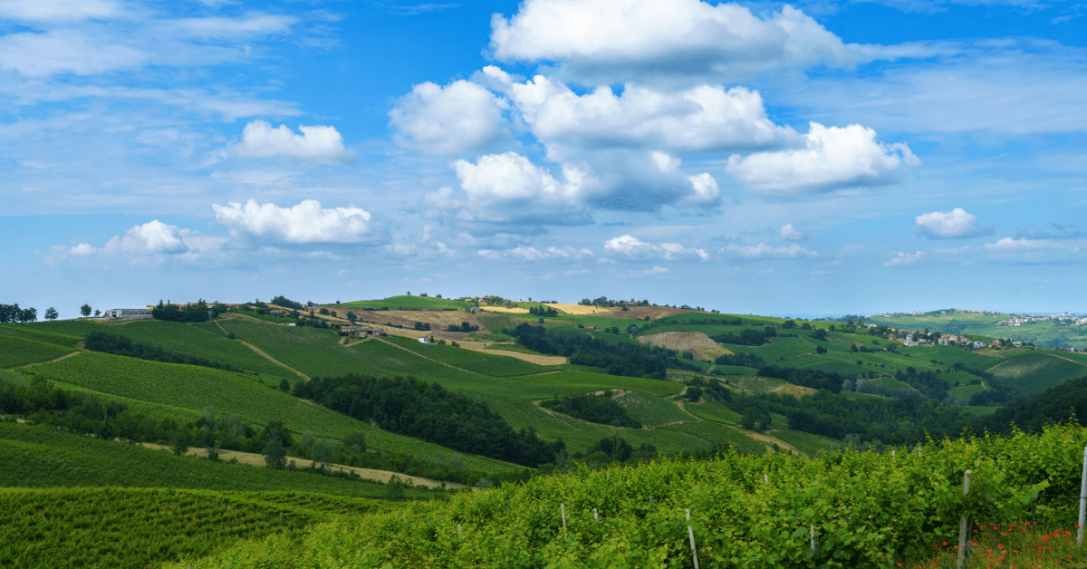 Cosa fare a Gerenzago con il caldo: idee fresche per l'estate 2026