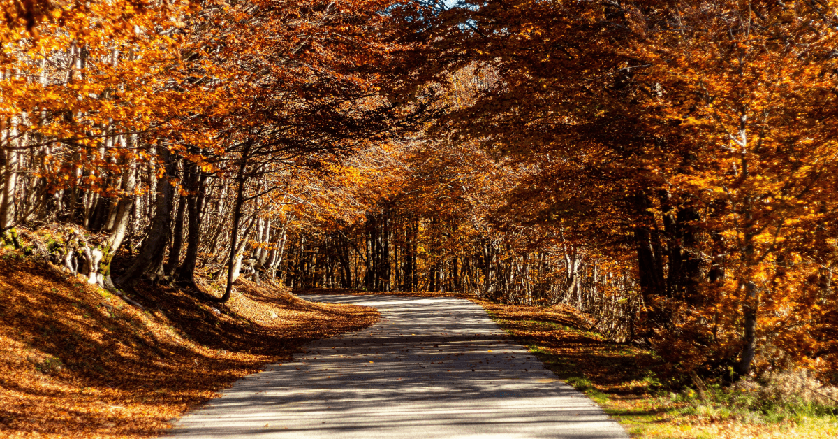 Cosa fare d'estate al Lago di Garda 2026: Guida Completa