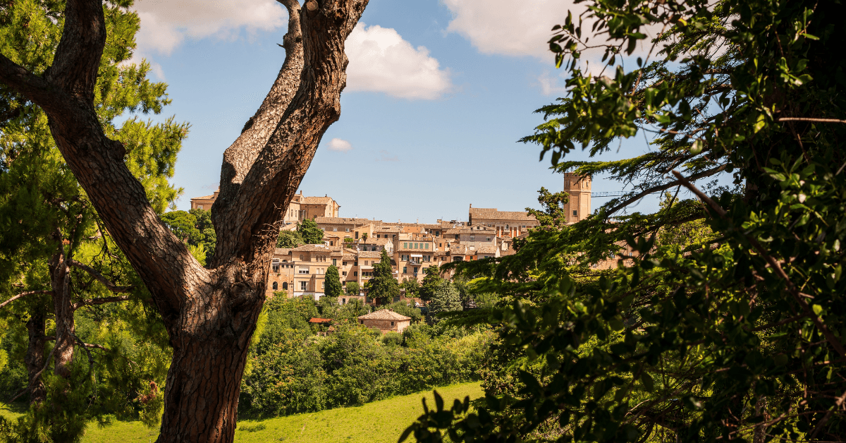 Cosa fare d'estate nelle Marche 2026: Guida Completa