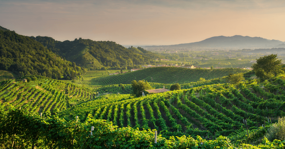 Estate 2026 a Mezzane di Sotto: Guida Completa alle Attività