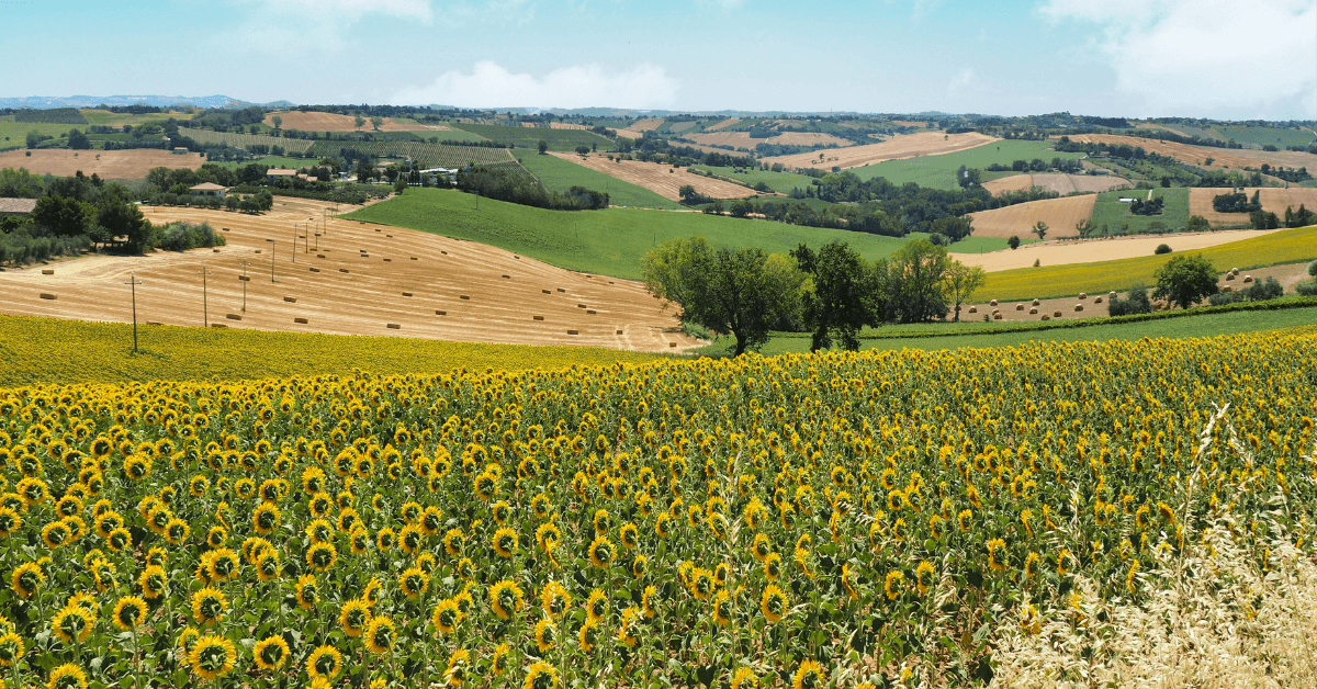 Morro d'Alba d'Estate 2026: Guida Completa, Piscine e Relax