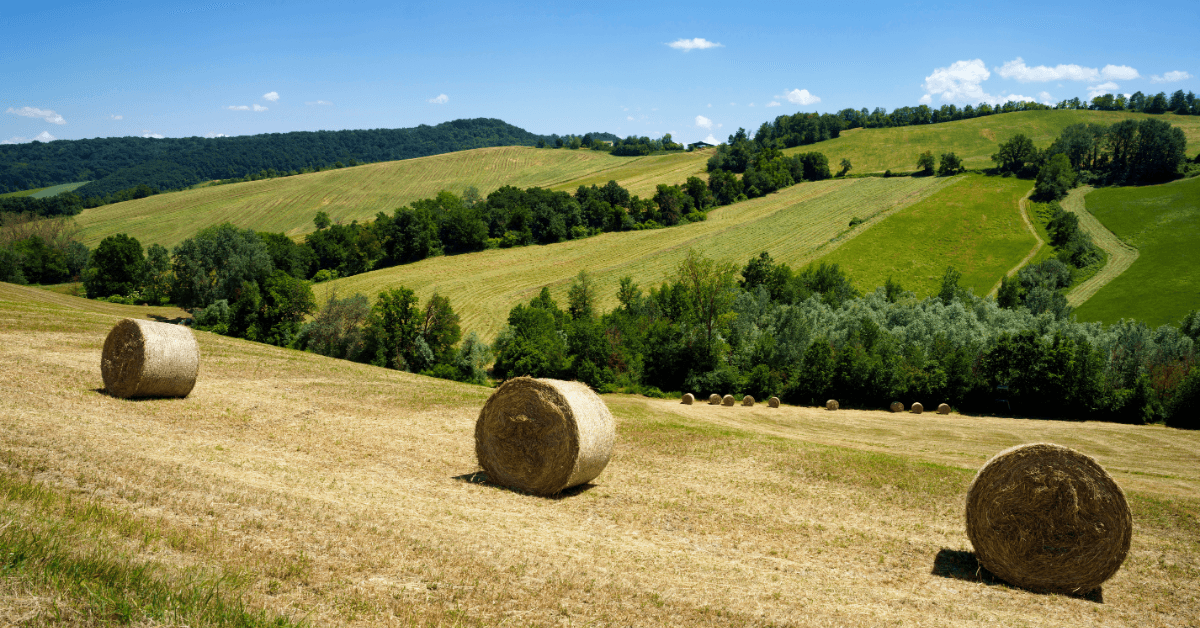 Cosa fare d'estate a Sala Baganza 2026: Guida completa