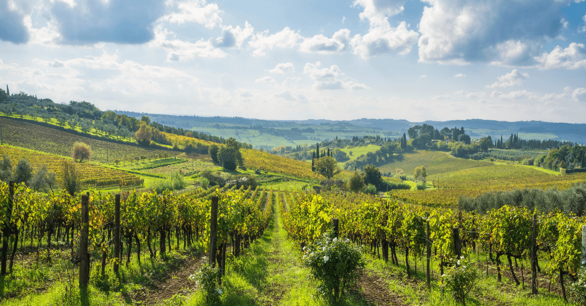 Cosa fare con il caldo a Scandicci: piscine e idee fresche 2026