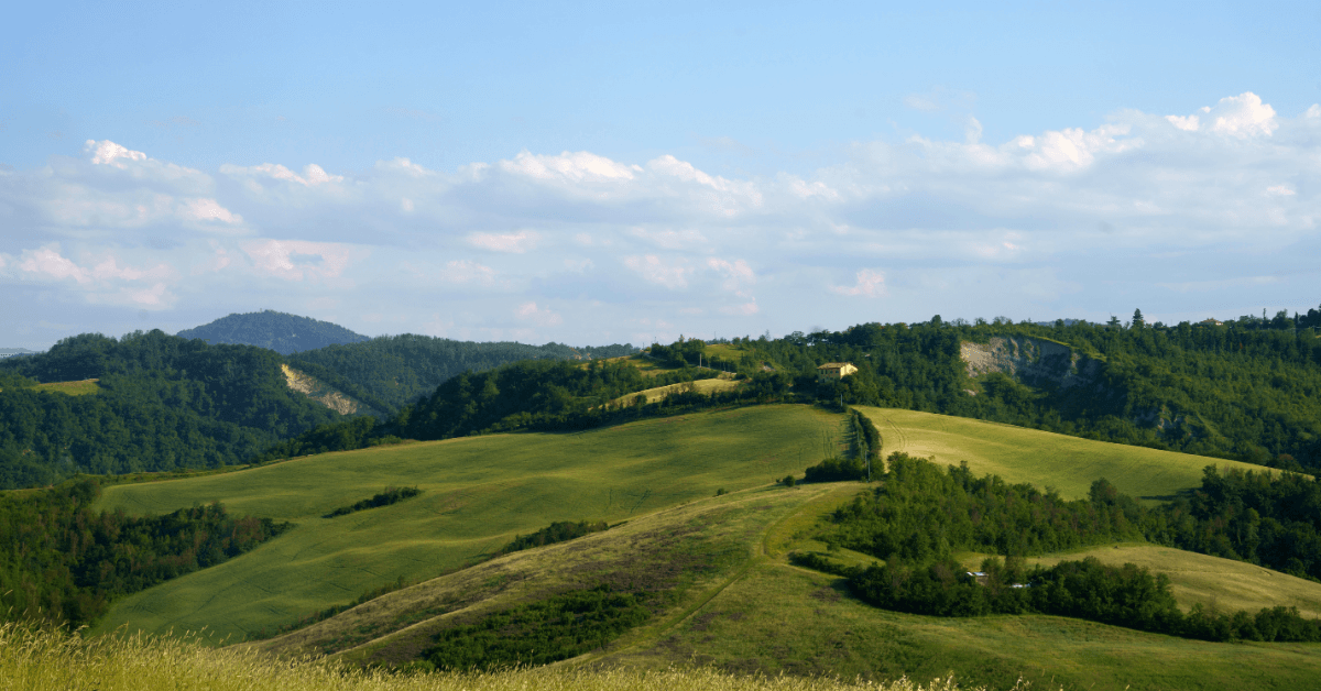 Zocca d'Estate 2026: Guida Completa per Famiglie e Relax in Piscina