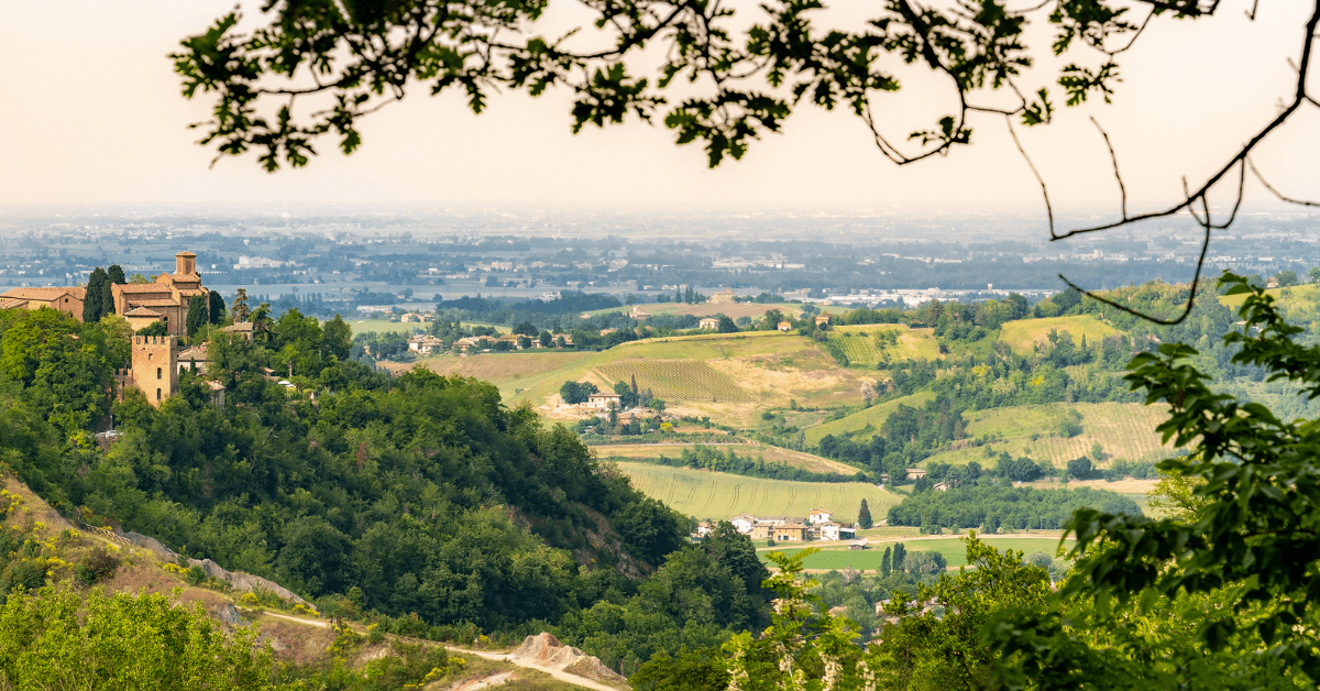 Cosa fare d'estate a Zola Predosa 2026: Guida Completa